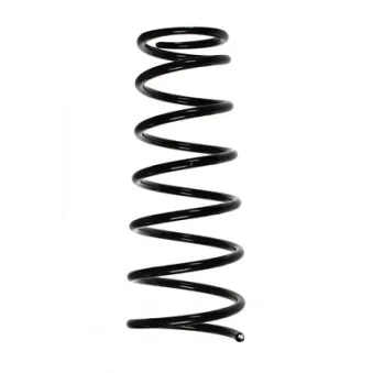 Ressort de suspension SPIDAN 49309