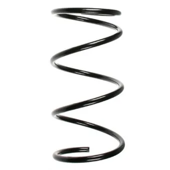 Ressort de suspension SPIDAN 49310