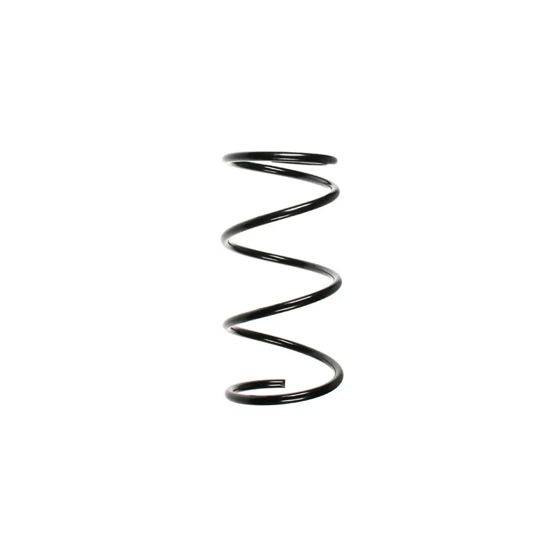 Ressort de suspension SPIDAN 49310