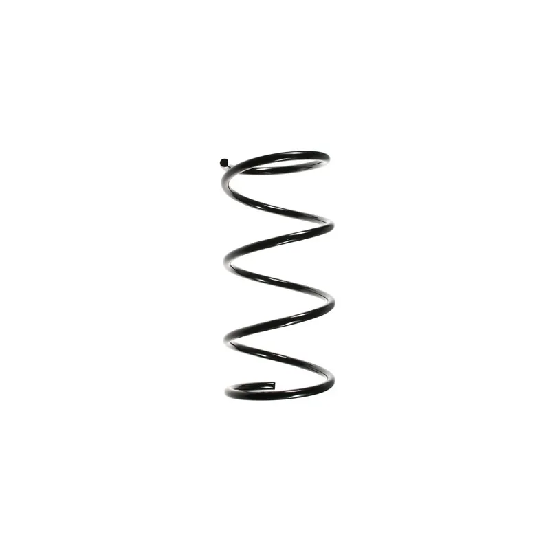 Ressort de suspension SPIDAN 49311