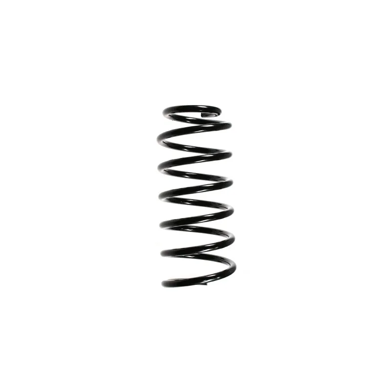 Ressort de suspension SPIDAN 49314
