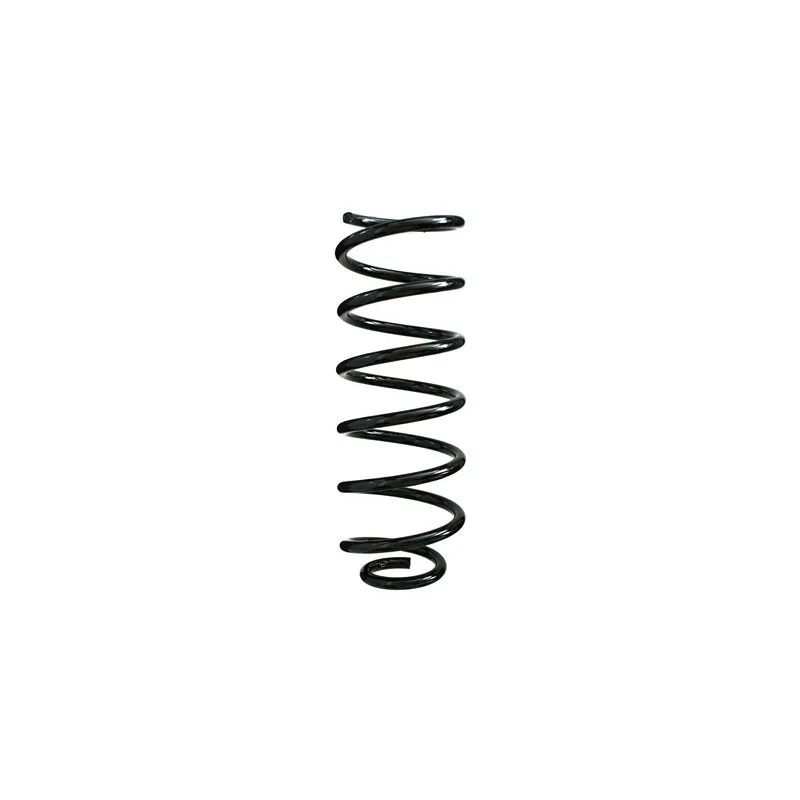 Ressort de suspension SPIDAN 49316
