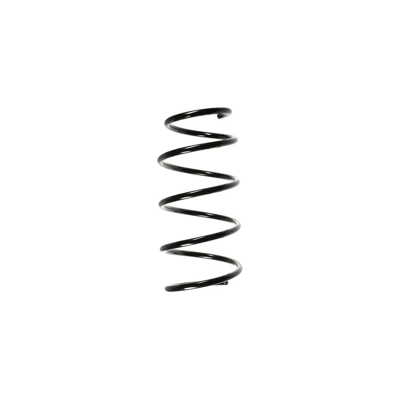 Ressort de suspension SPIDAN 49319