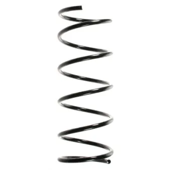 Ressort de suspension SPIDAN 49322