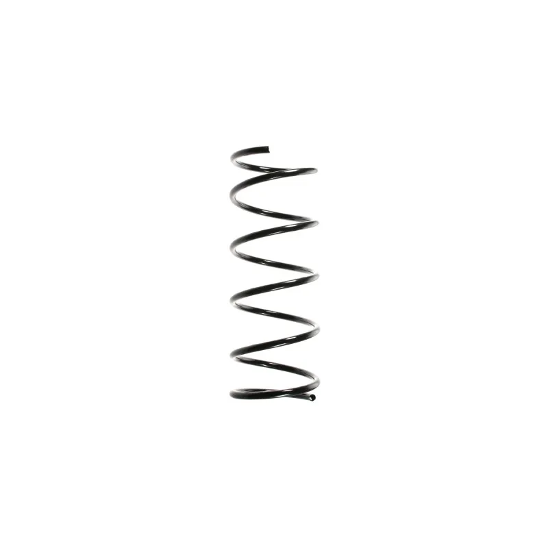 Ressort de suspension SPIDAN 49322