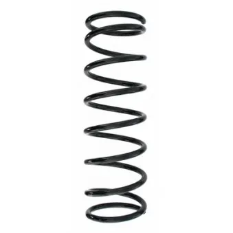 Ressort de suspension SPIDAN 49323