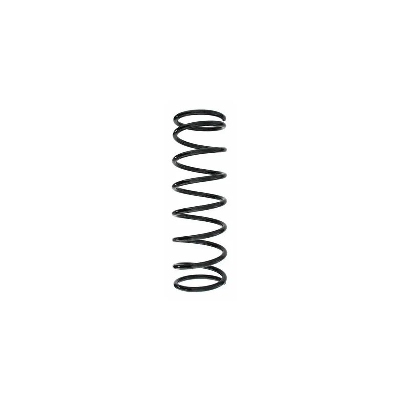 Ressort de suspension SPIDAN 49323