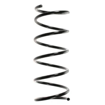 Ressort de suspension SPIDAN 49325