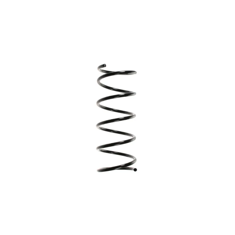 Ressort de suspension SPIDAN 49325