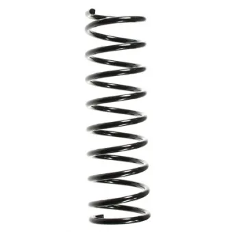 Ressort de suspension SPIDAN 49326