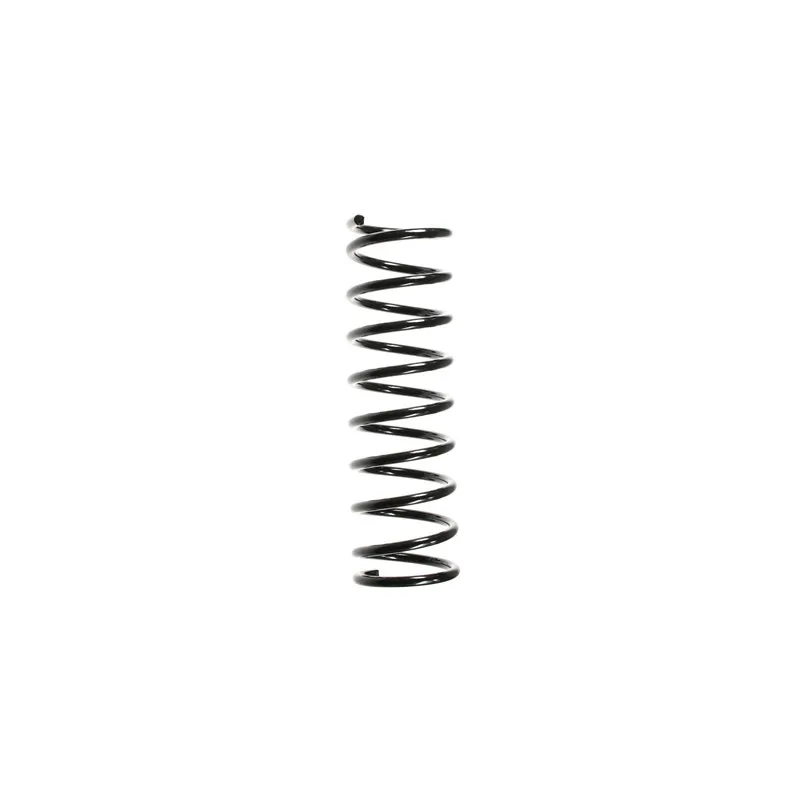 Ressort de suspension SPIDAN 49326