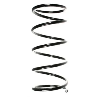 Ressort de suspension SPIDAN 49333