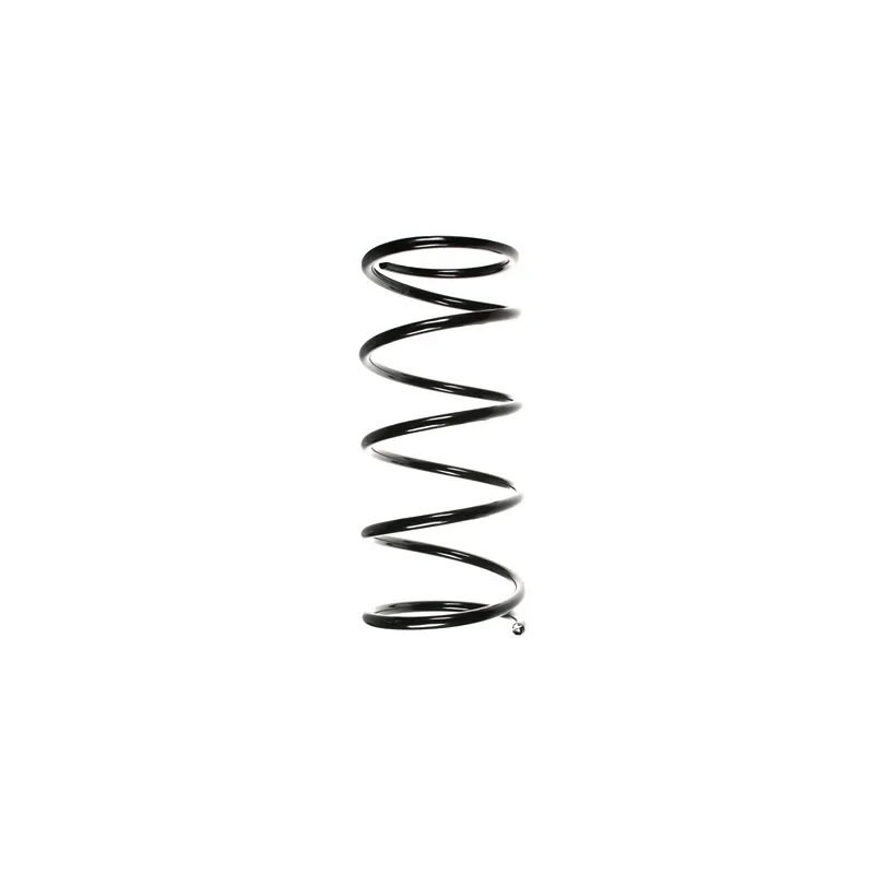 Ressort de suspension SPIDAN 49333