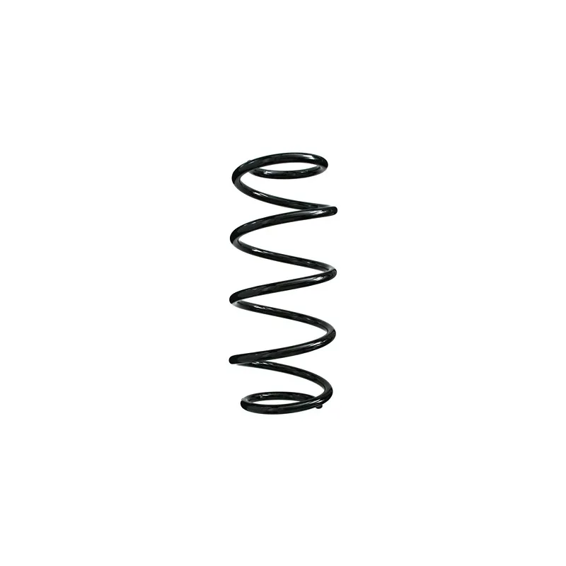 Ressort de suspension SPIDAN 49334