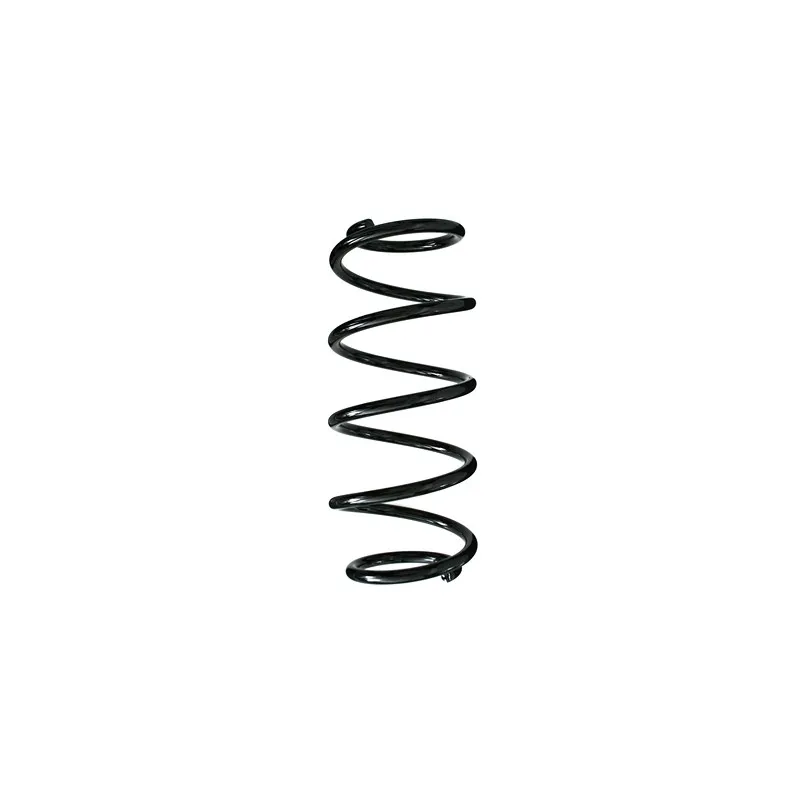 Ressort de suspension SPIDAN 49335