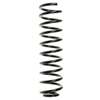 Ressort de suspension SPIDAN 49339