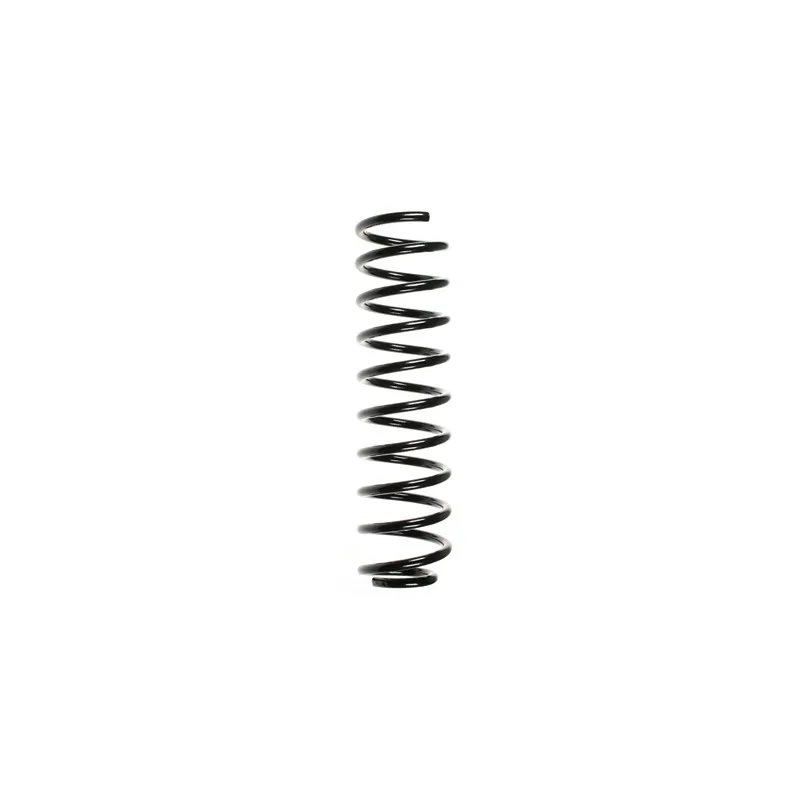 Ressort de suspension SPIDAN 49339