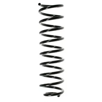 Ressort de suspension SPIDAN 49343