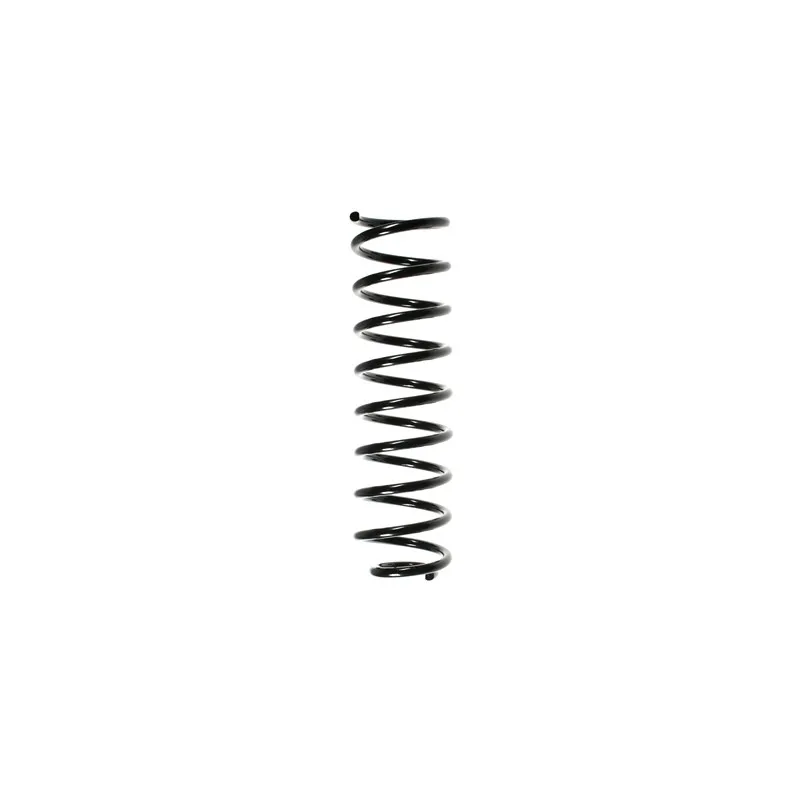 Ressort de suspension SPIDAN 49343