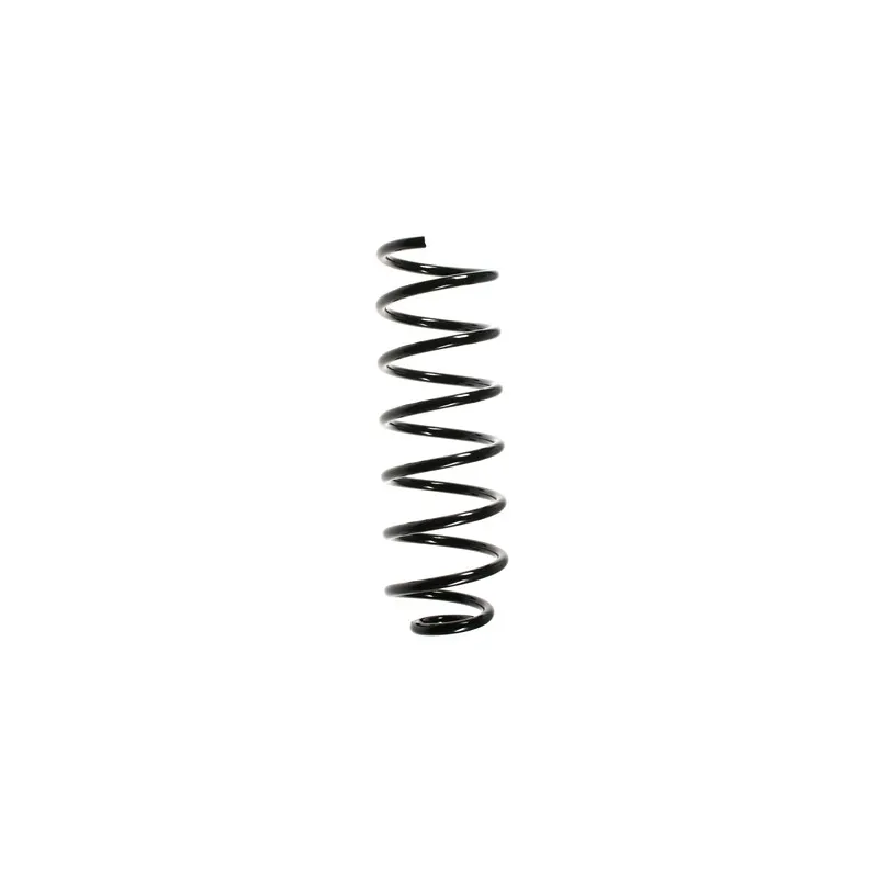 Ressort de suspension SPIDAN 49344