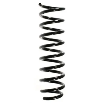 Ressort de suspension SPIDAN 49345