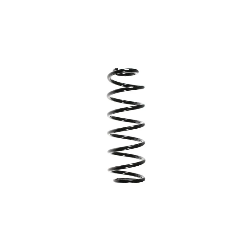 Ressort de suspension SPIDAN 49347