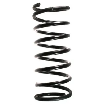 Ressort de suspension SPIDAN 49348