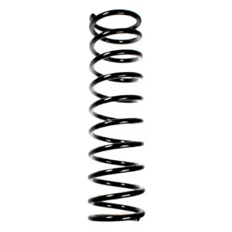 Ressort de suspension SPIDAN 49349