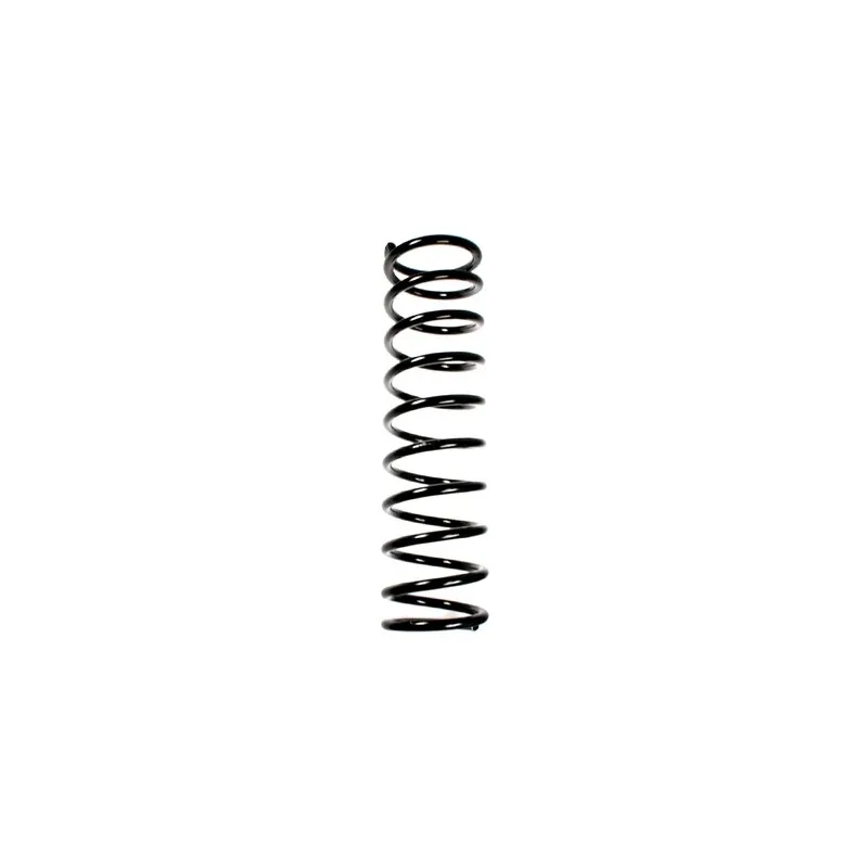 Ressort de suspension SPIDAN 49349