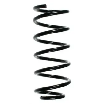 Ressort de suspension SPIDAN 49352