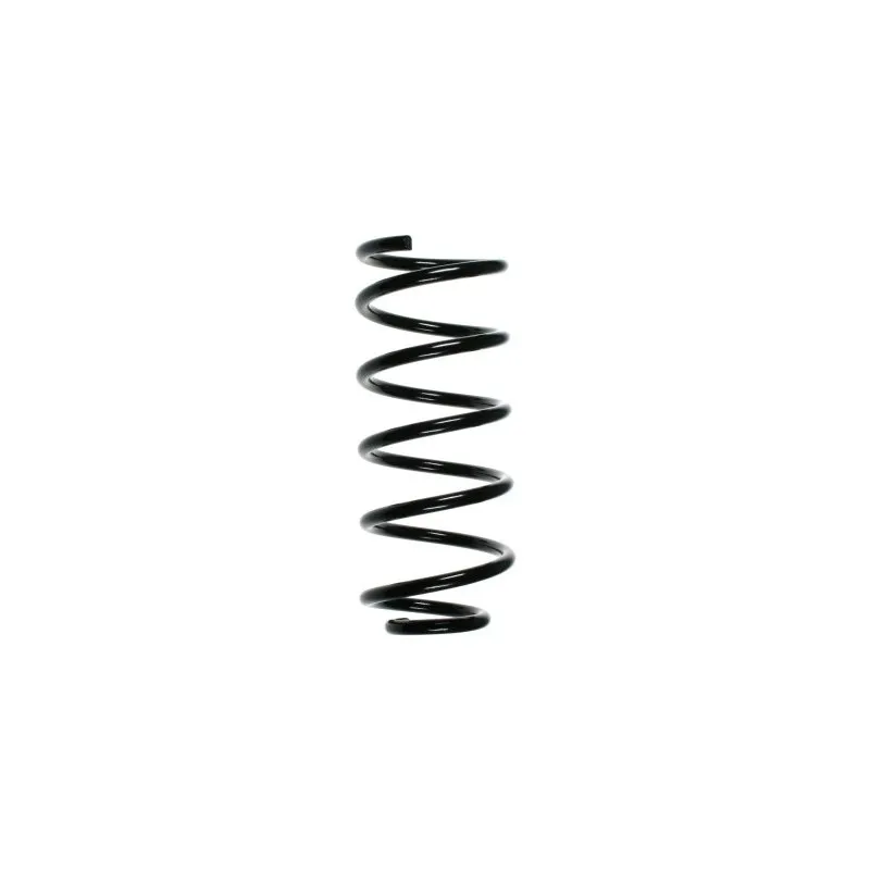 Ressort de suspension SPIDAN 49352