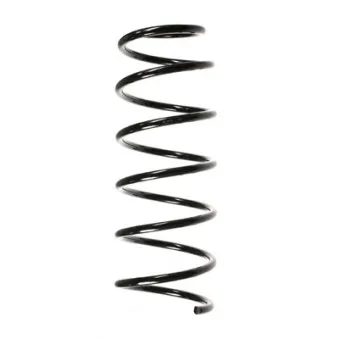 Ressort de suspension SPIDAN 49365