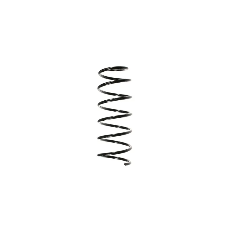 Ressort de suspension SPIDAN 49365