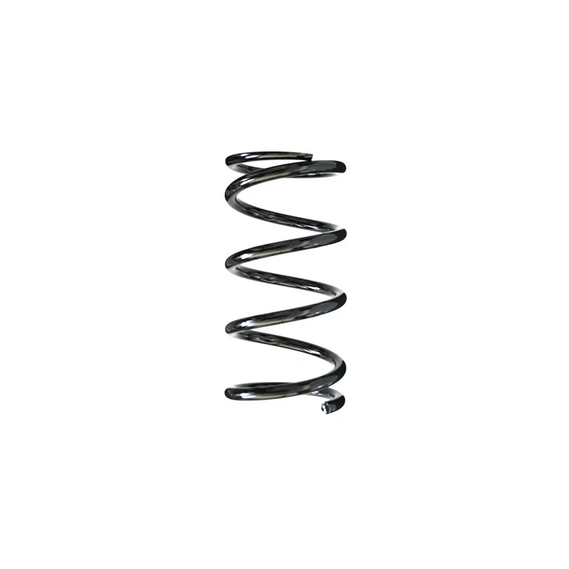 Ressort de suspension SPIDAN 49367