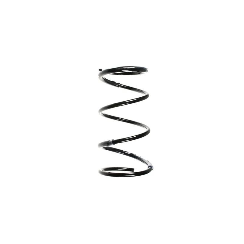 Ressort de suspension SPIDAN 49368