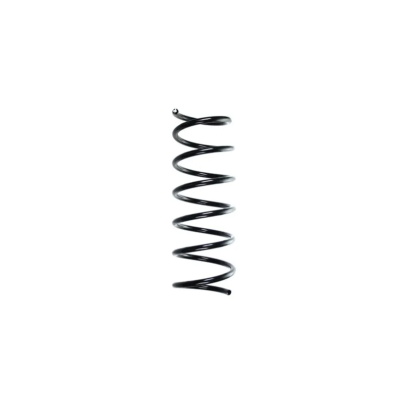 Ressort de suspension SPIDAN 49374