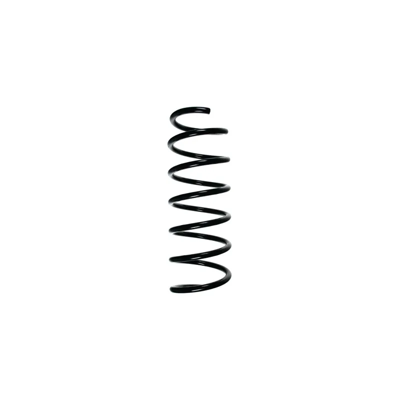 Ressort de suspension SPIDAN 49375