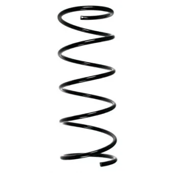 Ressort de suspension SPIDAN 49376