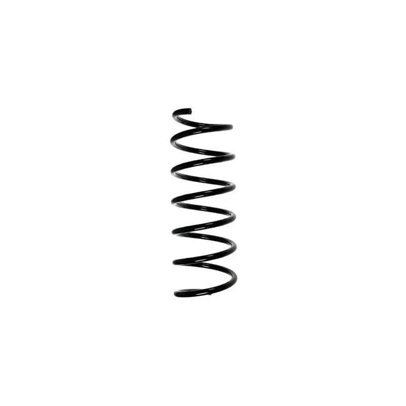 Ressort de suspension SPIDAN 49379