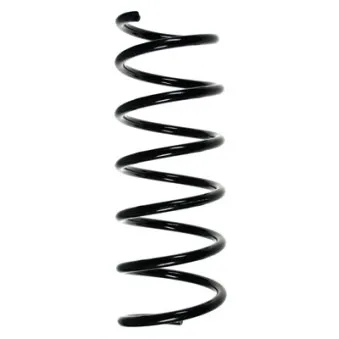 Ressort de suspension SPIDAN 49380