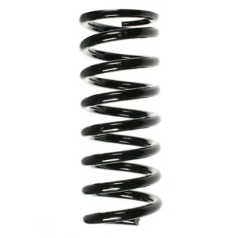 Ressort de suspension SPIDAN 49381