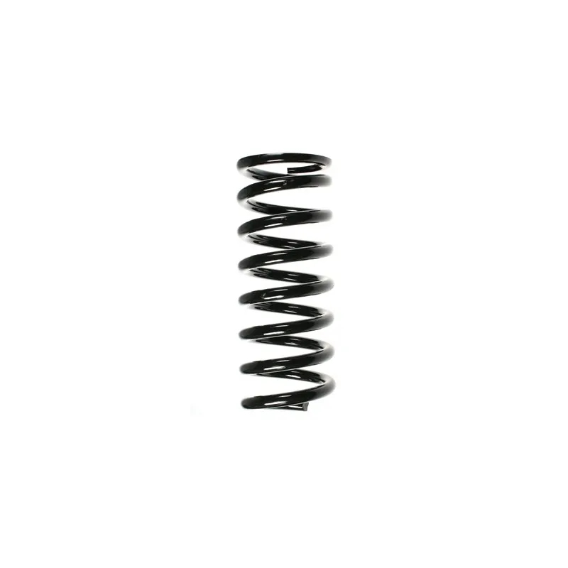 Ressort de suspension SPIDAN 49381