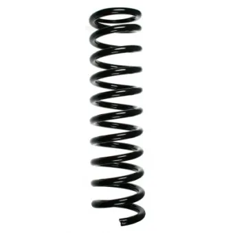 Ressort de suspension SPIDAN 49382