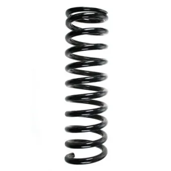 Ressort de suspension SPIDAN 49383