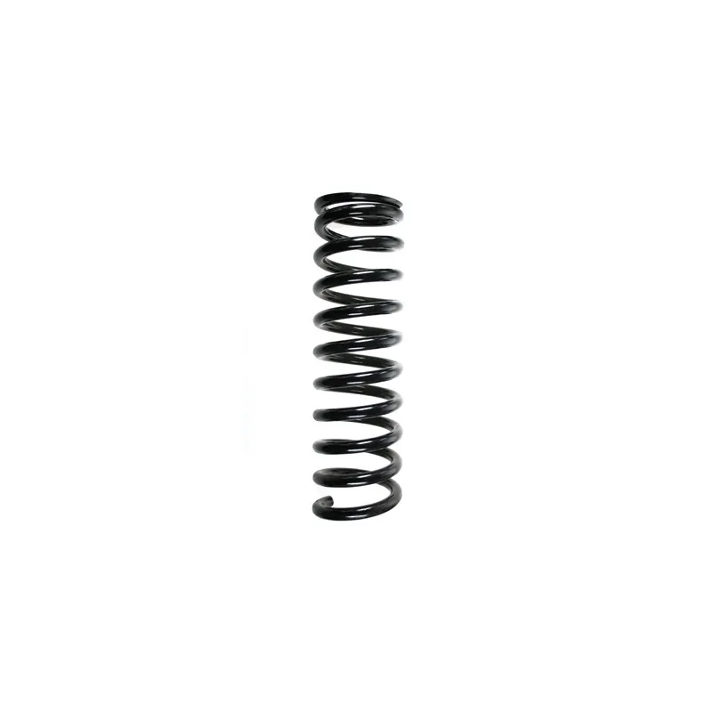 Ressort de suspension SPIDAN 49383