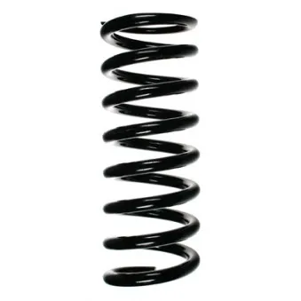 Ressort de suspension SPIDAN 49384