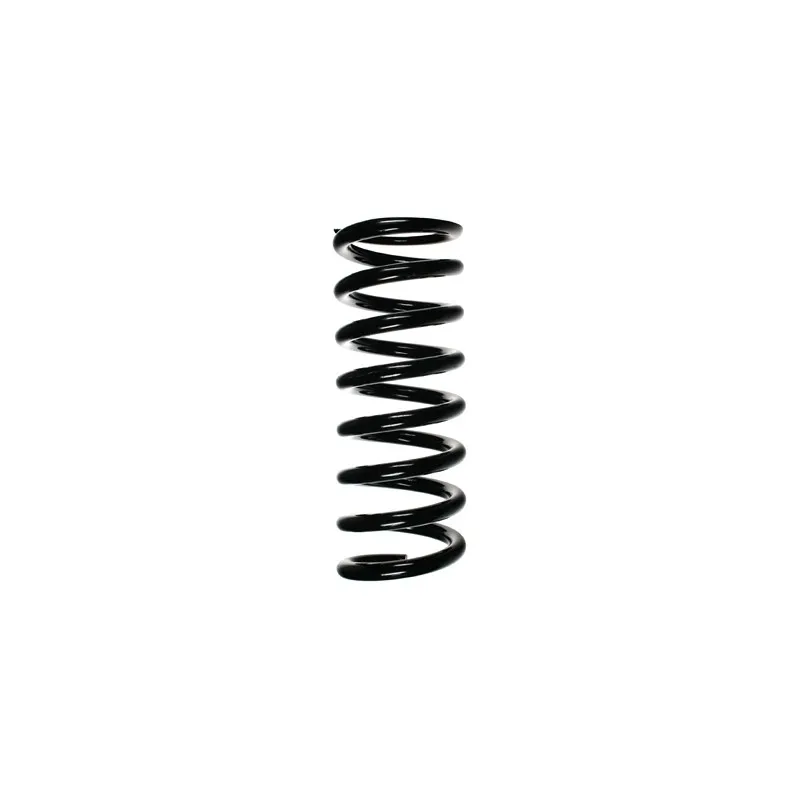 Ressort de suspension SPIDAN 49384