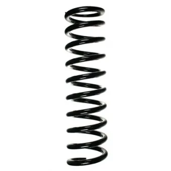 Ressort de suspension SPIDAN 49385
