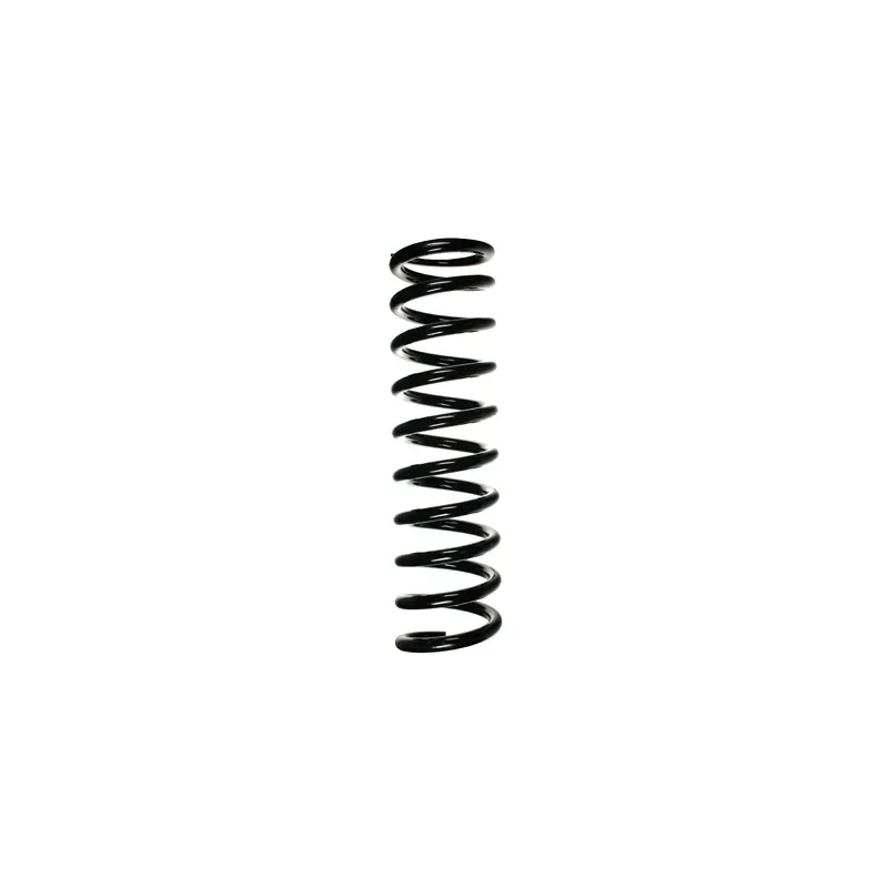 Ressort de suspension SPIDAN 49385