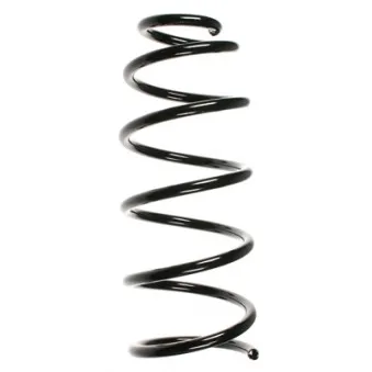Ressort de suspension SPIDAN 49390